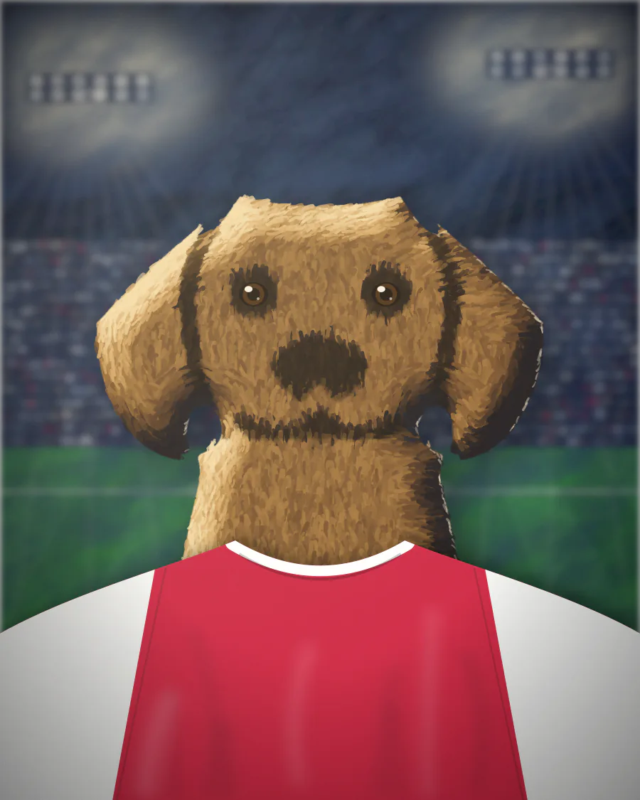 Sample football shirt pet portrait