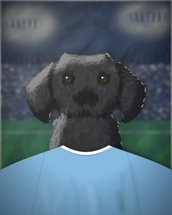 Sample of a dog in a plain sky-blue football shirt